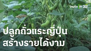 เกษตรทำเงิน : ปลูกถั่วแระญี่ปุ่น หลังการทำนา สร้างรายได้งาม | 18-03-66 | ตะลอนข่าวสุดสัปดาห์