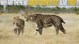 Why Are There No Saber-Toothed Cats Alive Nowadays?