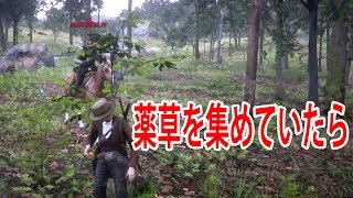 レッドデッドオンライン：薬草を集めていたら。 PK プレイヤーキル RDO RDR2 Red Dead Redemption 2