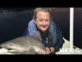 baby bull shark spotted in lake in florida park after helene