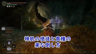 エルデンリング 神肌の使徒と貴種の楽な倒し方 Elden Ring Naoking easy defeat God Skin Apostle and Noble