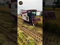 Mini combine harvester in India #shorts #agriculture #viral #ytshorts #harvester