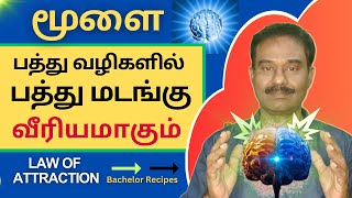 மூளை சுத்தமானால், ஆயுள் கூடும் - 10 காரணங்கள் / 10 Brain Activation Techniques / Bachelor Recipes