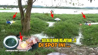 KEJUTAN YANG TAK DI DUGA²..!! coba campuran lumut ini buat umpan mancing nila #umpanjitu