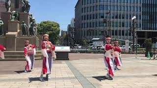 市比野温泉よさこい踊り隊 かごしま春祭大ハンヤ2019