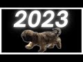 2023 IN REVIEW - polar_baer