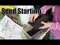 Seed Starting with Spiked Soil and Jiffy