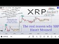 RIPPLE AND XRP SUCK!!! says a friend - here are his reasons, + my response to why he is wrong!