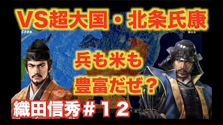 【信長の野望大志PK】織田信秀＃１２　米を大量に持つ強国・北条氏康攻略戦！？