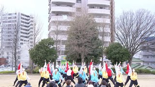 近畿大学 洗心 堺よさこいかえる祭り2023