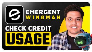How To Check Credit Usage in Wingman (Explained)