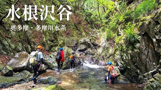 【奥多摩・沢登り】水根沢・泳ぎ、登攀、滑り台と短い行程で楽しめる沢