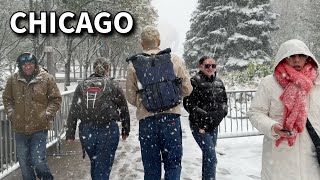 Chicago First Snowfall Of The Season 2024 On Thursday | November 21, 2024 | 4K Raw Video Heavy Snow