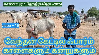 கண்ணபுரம் தேர்திருவிழா 2024/vendhan cattle farm#தரமான காங்கேயம் காளைகள் கன்றுகள் வாங்க#cow #bull