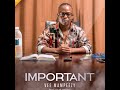 VEE MAMPEEZY - Important (Official Audio)