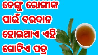 ଡେଙ୍ଗୁ ଜର ପାଇଁ ଯମ ଏହି ଗୋଟେ ଜିନିଷ, ଜଲଦି ଦେଖନ୍ତୁ ଜୀବନ ବଞ୍ଚିଯିବ ଏମିତି