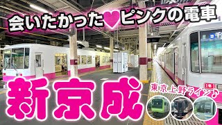 【関東遠征③】ピンクの新京成に会いに行く♡並走・すれ違いが楽しい！上野東京ライン