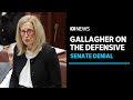 Katy Gallagher offers full denial to Senate over Brittany Higgins allegations | ABC News