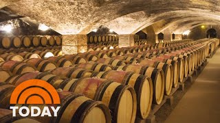France to spend $200M to destroy wine surplus as demand falls