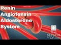 The Renin, Angiotensin, Aldosterone System.