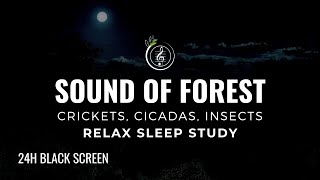 Sound of FOREST, Crickets, Cicadas, Insects | 24h NATURE SOUND FOR SLEEP, MEDITATION, & FOCUS 🌿🌙