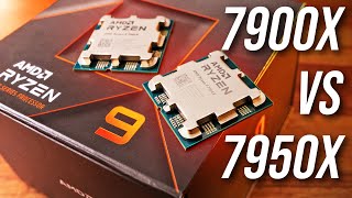 Ryzen 9 7900X vs 7950X - Are 16 Cores Worth More $$$?