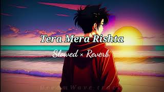 Tera Mera Rishta | slowed reverb | lofi music video | DreamWave track