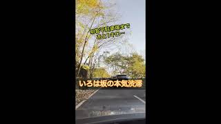 観光客殺到の日光いろは坂！大渋滞はいつどこで始まる？ #日光 #渋滞 #いろは坂 #紅葉 #観光