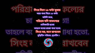 শুধু পরিশ্রম করলে হবে না। 🤔বিবেক, বুদ্ধি ও জ্ঞান দিয়ে পরিশ্রম করতে হবে 👍#viralvideo #youtuber #সব