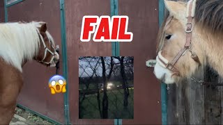 FAIL (2 Tage Vlog)