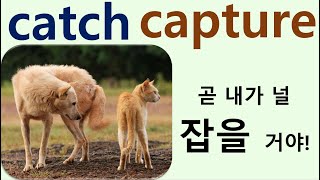 Q5 English 어휘 Lesson 624 (잡다 - catch vs capture)