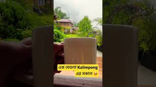 এক মেঘলা Kalimpong এর সকাল 😍❤️ #shorts #youtubeshorts #kalimpong