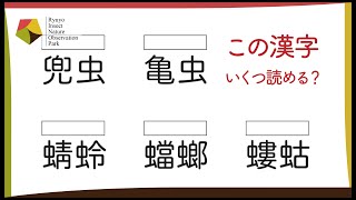 【虫の名前】はどこからきてる？職員の衝撃すぎる【名前の由来】とは！？