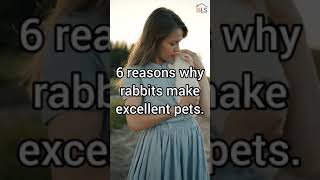 Why Rabbits Are Good Pets - 6 reasons why rabbits make great pets #shorts 🐇