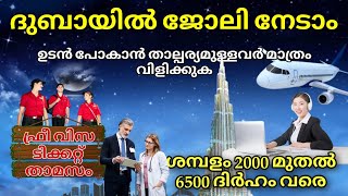 Dubai job vacancy 2025 Malayalam| UAE job vacancy| Gulf job vacancy Malayalam | Today job vacancy