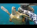 TURTLE RESCUE! Sea Turtle Entangled in Fishing Line