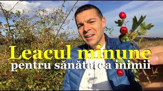 Leacul minune pentru sănătatea inimii