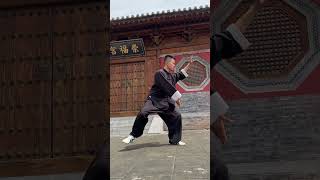 Power of Tai Chi#taichi #taijiquan #kungfu #wushu #sports #shorts