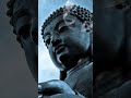 बिना नींव का मकान short buddha motivation viral buddhist trading bodhi ytshort