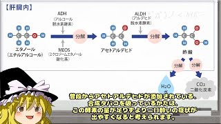 【ゆっくり解説】合成タバコの中毒促進剤　-アセトアルデヒド-