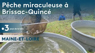 Maine-et-Loire : pêche miraculeuse à Brissac-Quincé lors de la vidange d'un étang