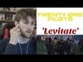 Twenty One Pilots 'Levitate' Music Video Reaction