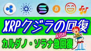 【仮想通貨】リップルXRPのクジラが戻る!?【リップルXRP・カルダノ（ADA）・ソラナ（SOL）】BTCETFのフロー　最新情報