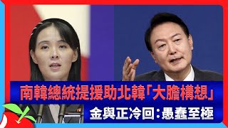 南韓總統提援助北韓「大膽構想」　金與正冷回：愚蠢至極 | 台灣新聞 Taiwan 蘋果新聞網