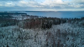 Getting lost in the Swedish forest...