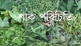 শাক পরিচিতি।শাকের নাম ।Leafy greens  names. 13January 2022