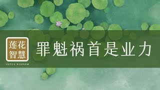 罪魁祸首是业力 271 | 业创造了一切 #业力 #唯识 #我执 20220512