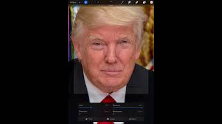 Procreate Donald Trump Perfect face ratio