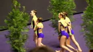 GR ensemble 13ans et moins de Bonsecours au Championnat de France à Clermont Ferrand 2016