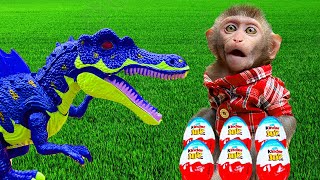 Monkey Baby Bim Bim harvest food and eats animal revolt with dinosaurs on Playground!
